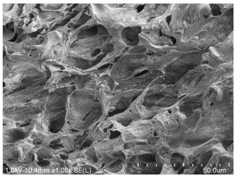 A kind of preparation method of vanadate composite mxene airgel photocatalyst