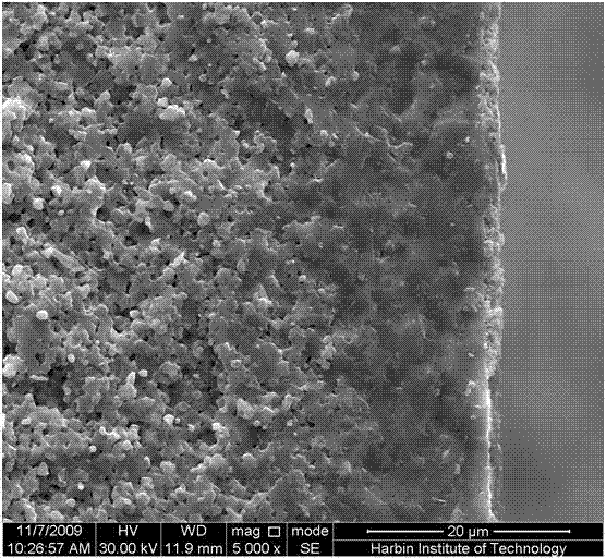 Method for preparing anode/electrolyte double-layer structure of solid oxide fuel cell by single grouting