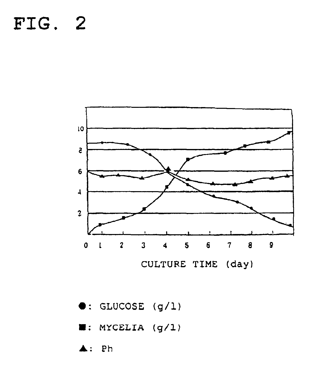 Immuno-stimulating polysaccharide substance from Phellinus spp. strain and use thereof