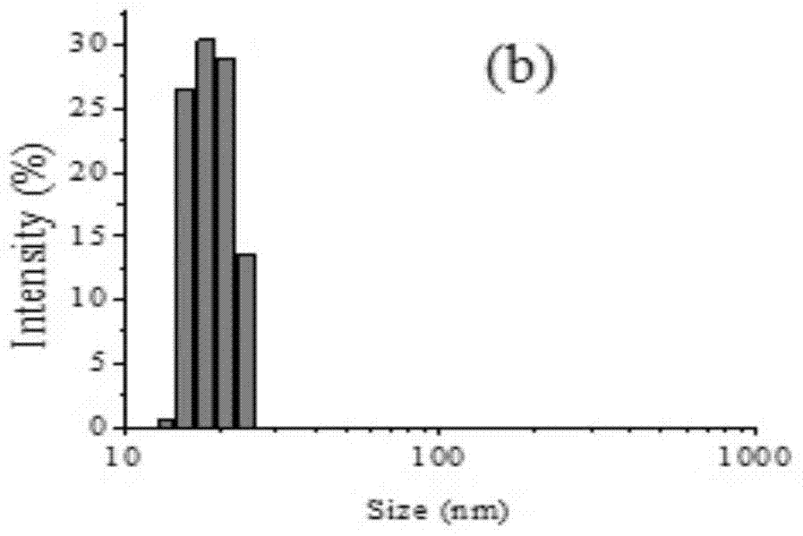 A kind of emulsifier-assisted bio-enzymatic method for preparing particle size-controllable starch nanoparticles