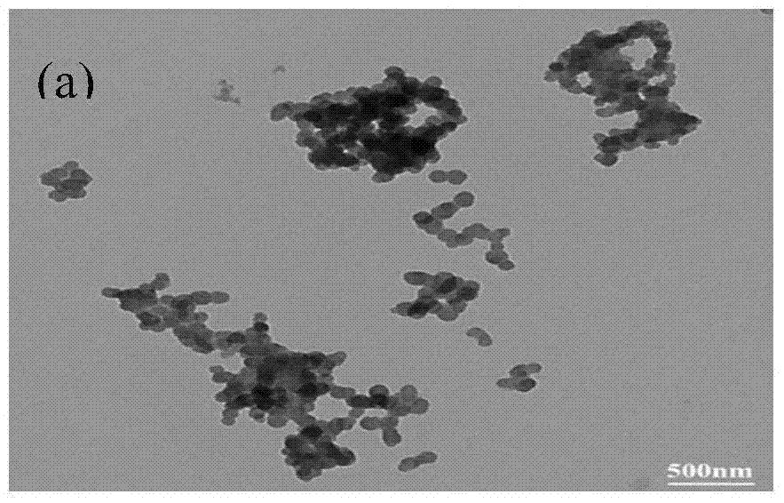 A kind of emulsifier-assisted bio-enzymatic method for preparing particle size-controllable starch nanoparticles