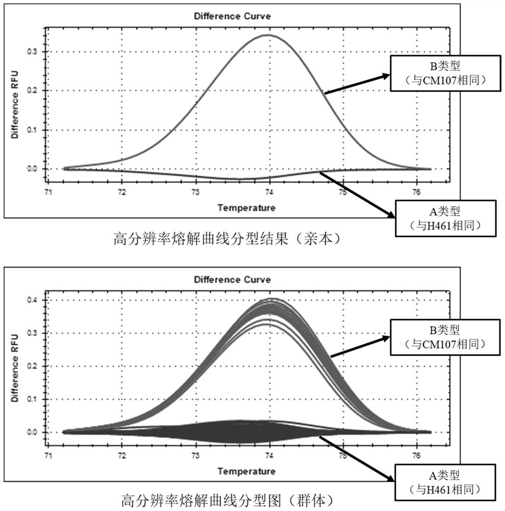 A Molecular Marker Closely Linked to Wheat Ear Extraction qtl QPel.HN.6D and Its Application