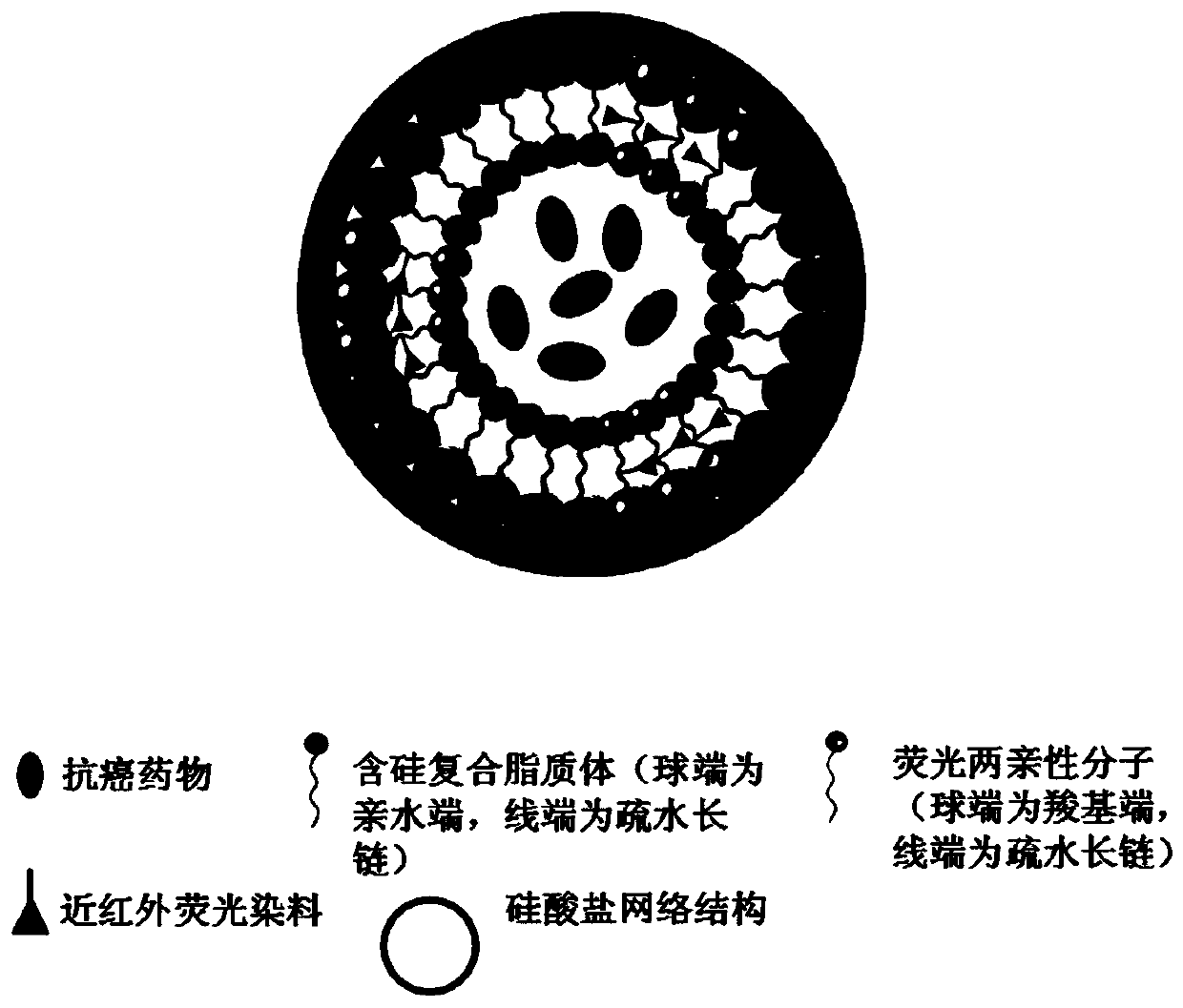 A siliceous nanoparticle drug carrier and its diagnostic and therapeutic preparation and preparation method