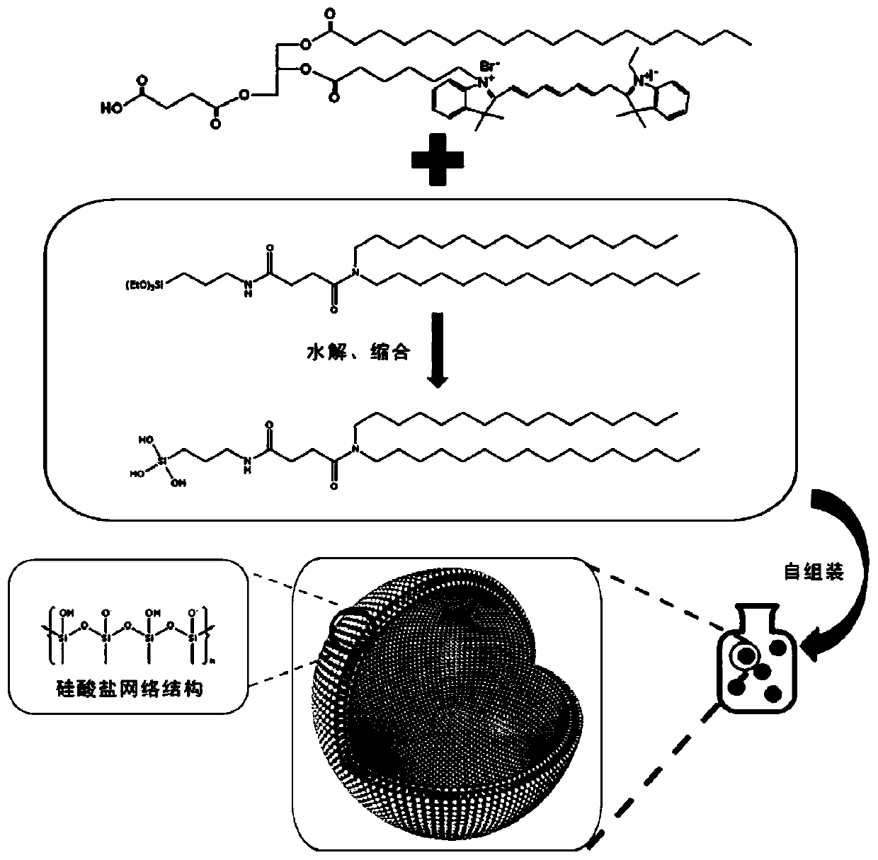 A siliceous nanoparticle drug carrier and its diagnostic and therapeutic preparation and preparation method