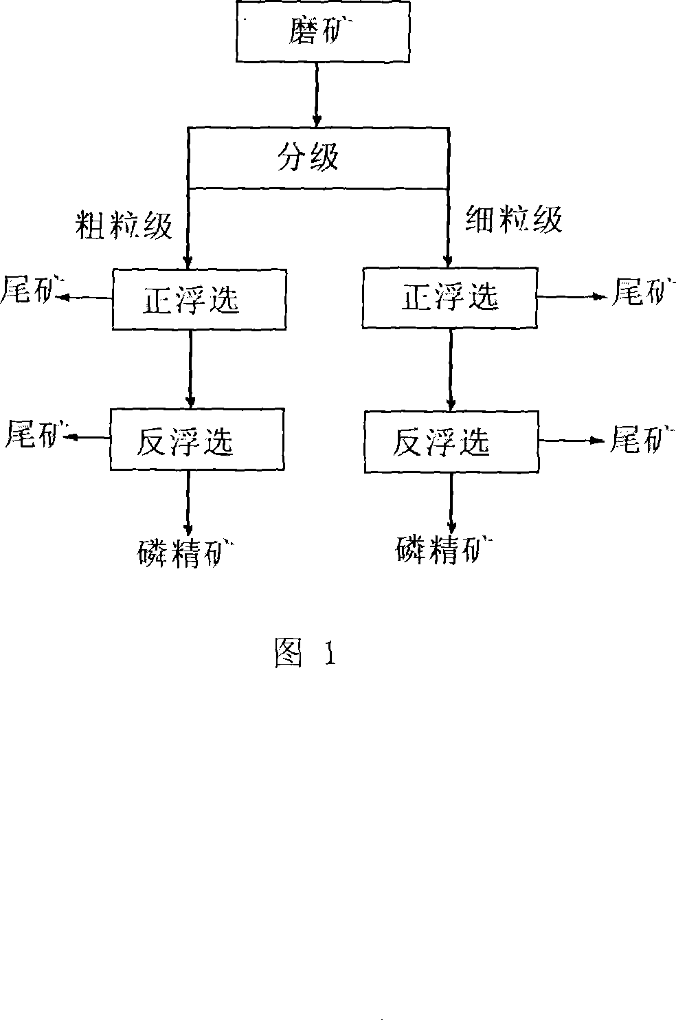 Phosphate rock floating process