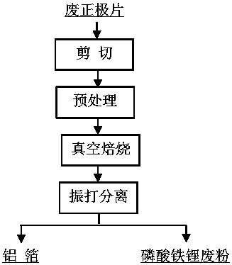 Vacuum separation method of waste lithium iron phosphate battery positive plate