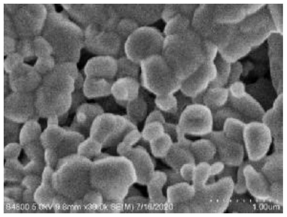 Preparation method of carbon-coated nitride porous ceramic