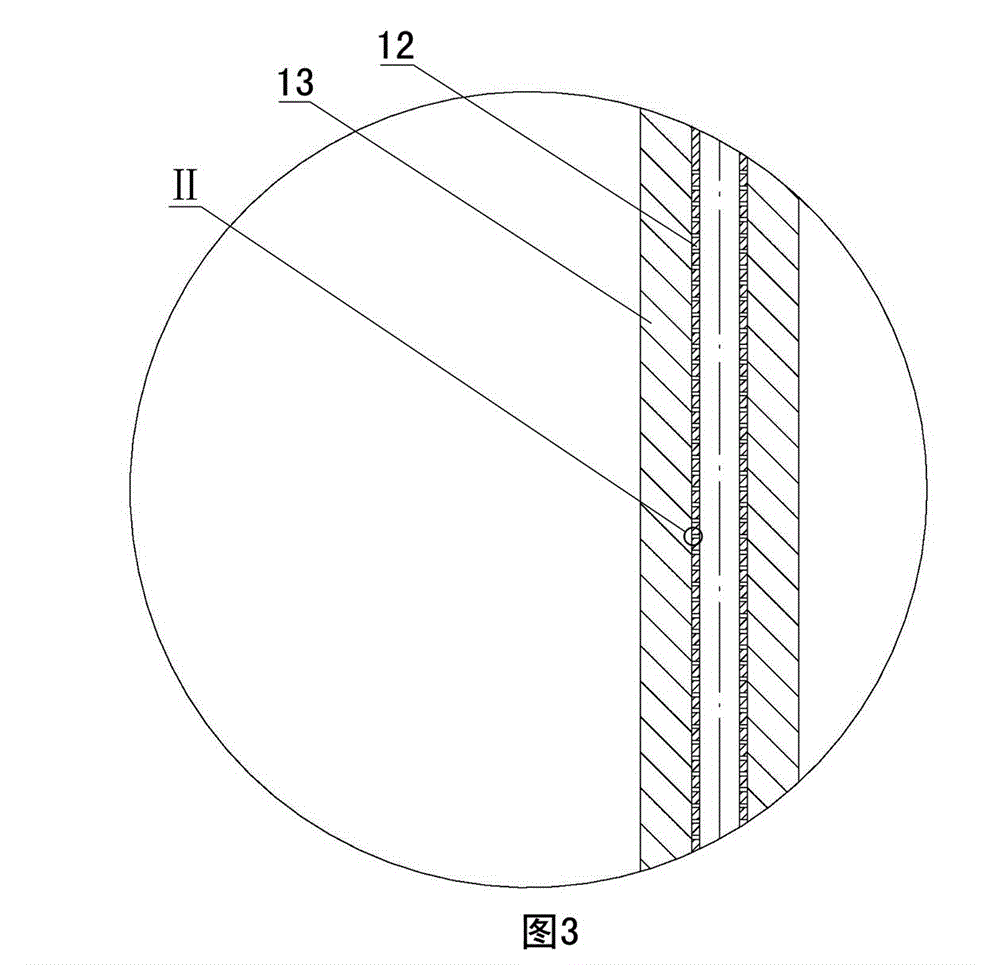 Liquid ammonia evaporator and liquid ammonia evaporation system for flue gas denitration