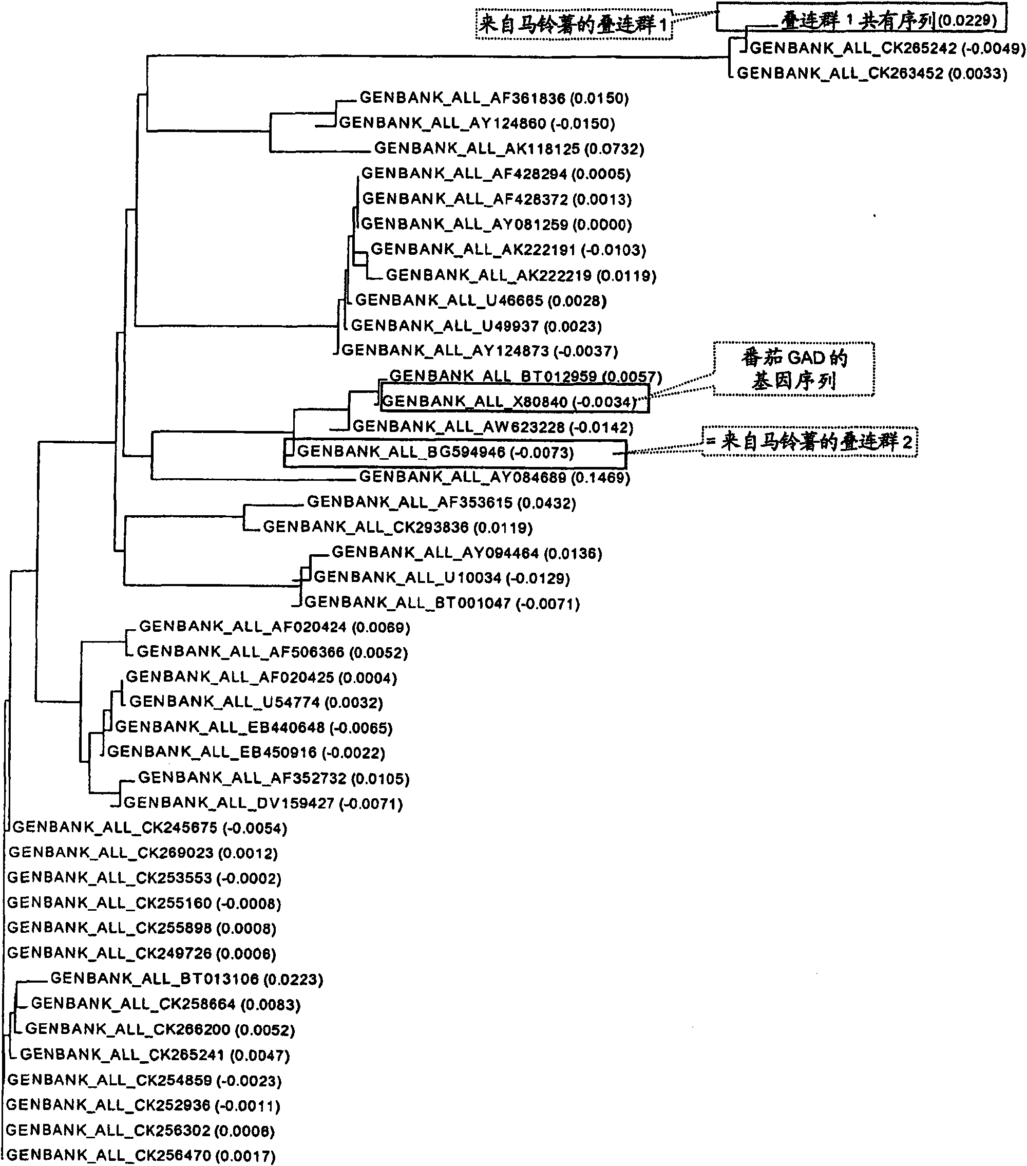 Process for the production of gamma-aminobutyric acid