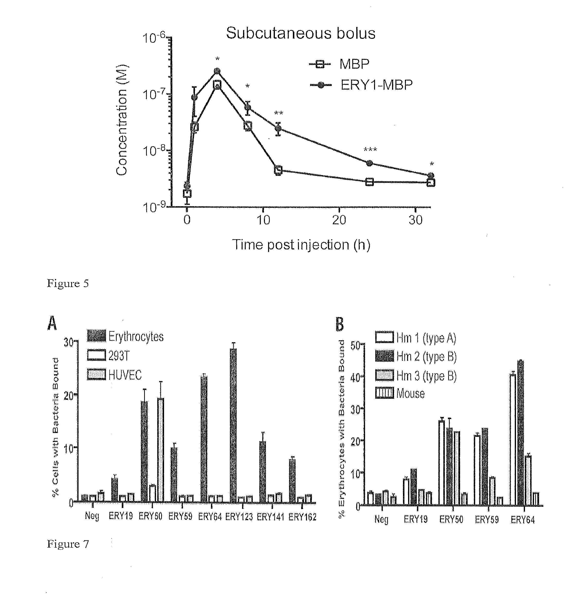 Compositions for generating immune tolerance by targeting erythrocytes