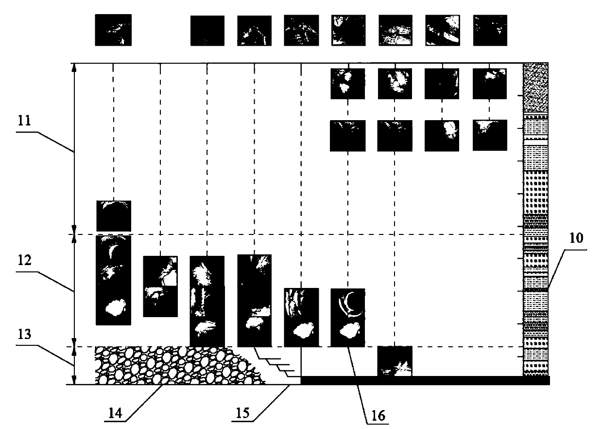 Comprehensive detection method of overburden activity law based on borehole camera shooting