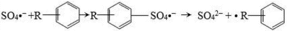 Oxidation treatment method for leachate biological treatment effluent