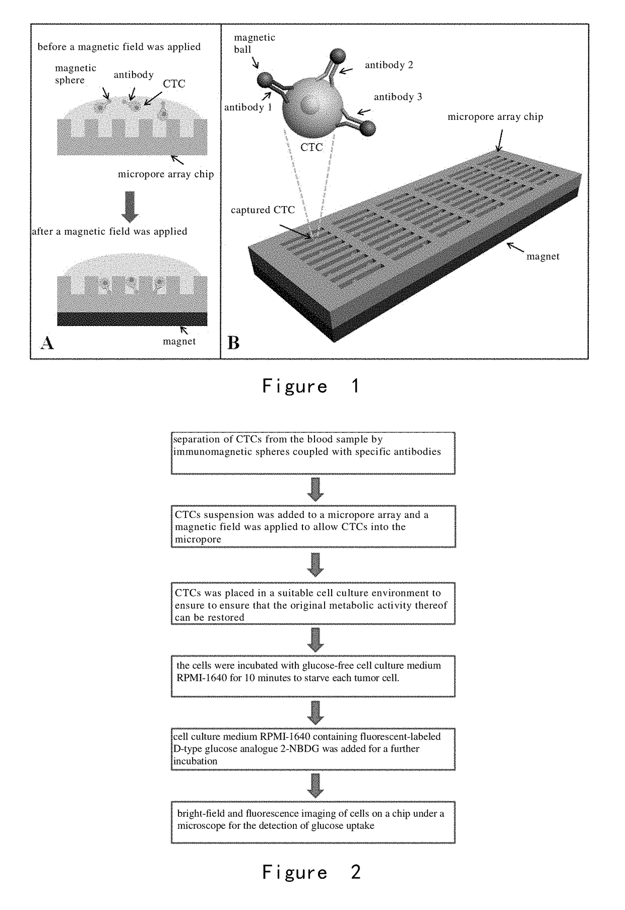 Method and device for detecting circulating tumor cell