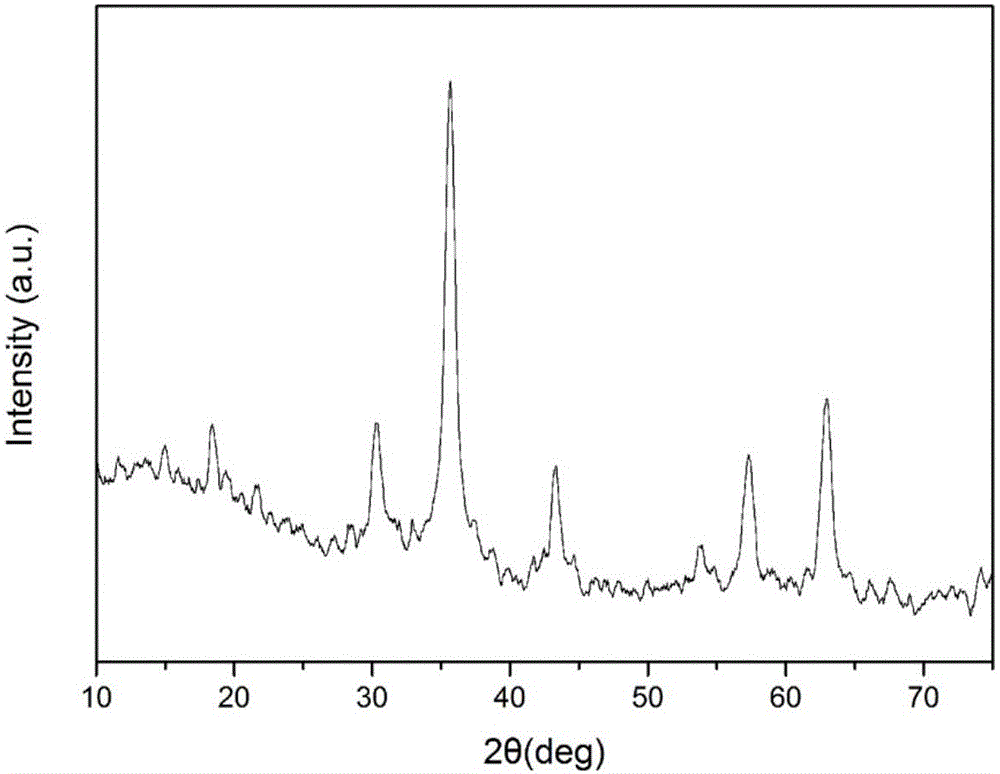 Monolayer molybdenum disulfide-cobalt ferrite nanocomposite material as well as preparation method and application thereof