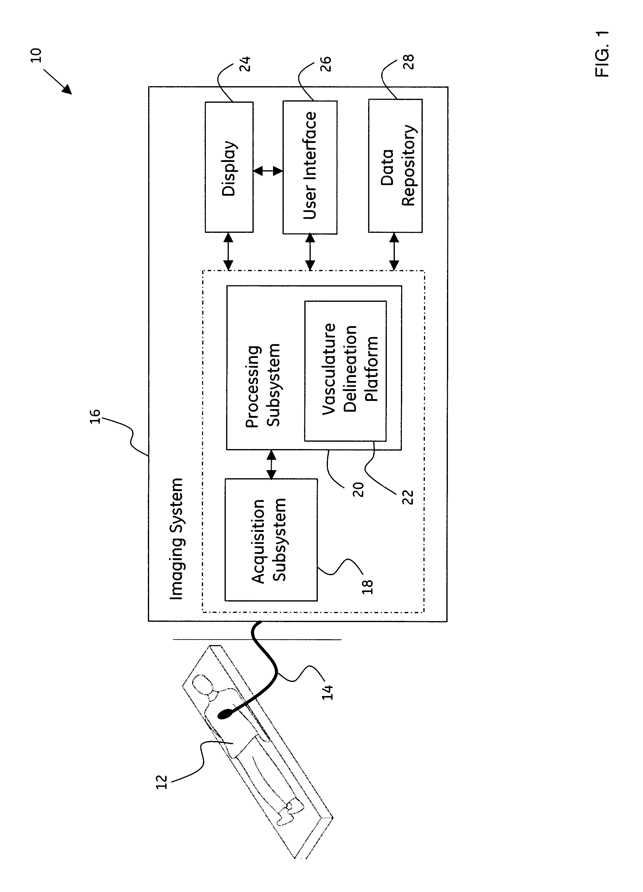 Method and system for delineation of vasculature