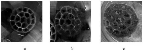 In-situ purification treatment method for rural toilet wastewater in cold region in winter