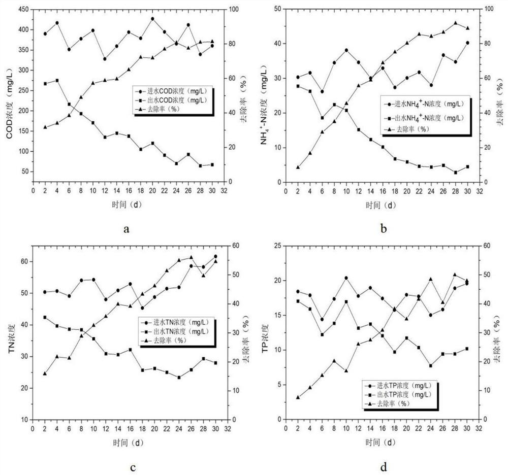 In-situ purification treatment method for rural toilet wastewater in cold region in winter