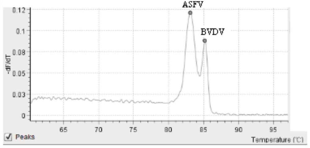 Primer for rapidly detecting exogenous virus in porcine pseudorabies live vaccine and application of primer in kit