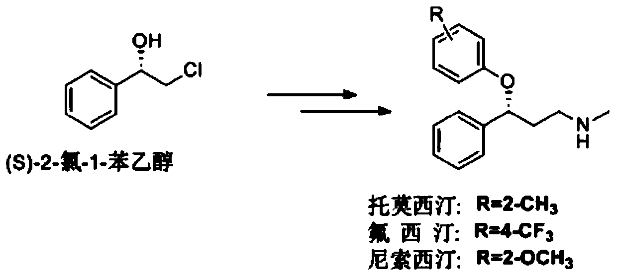 Deinococcus radiodurans-derived P450 monooxygenase mutant and application thereof