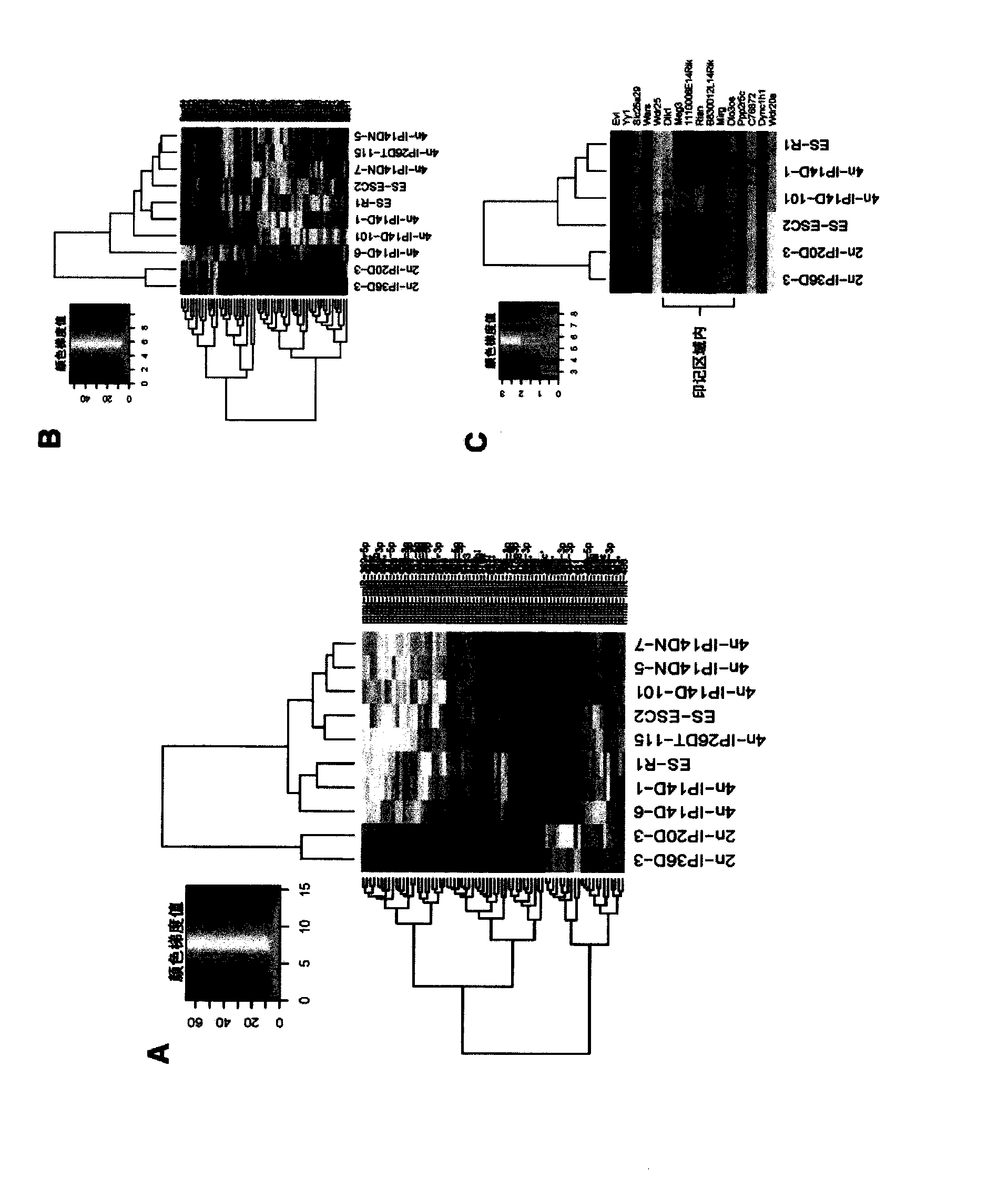 Key genes, microRNAs and other non-coding RNAs or combination thereof used for identifying or regulating cell pluripotency