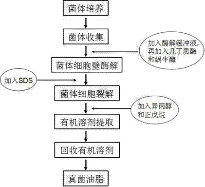 Method for extracting fungal oil