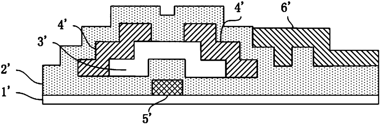 Thin film transistor used in display panel and display panel