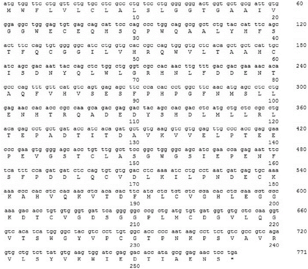 Recombinant human vasopressin and its application