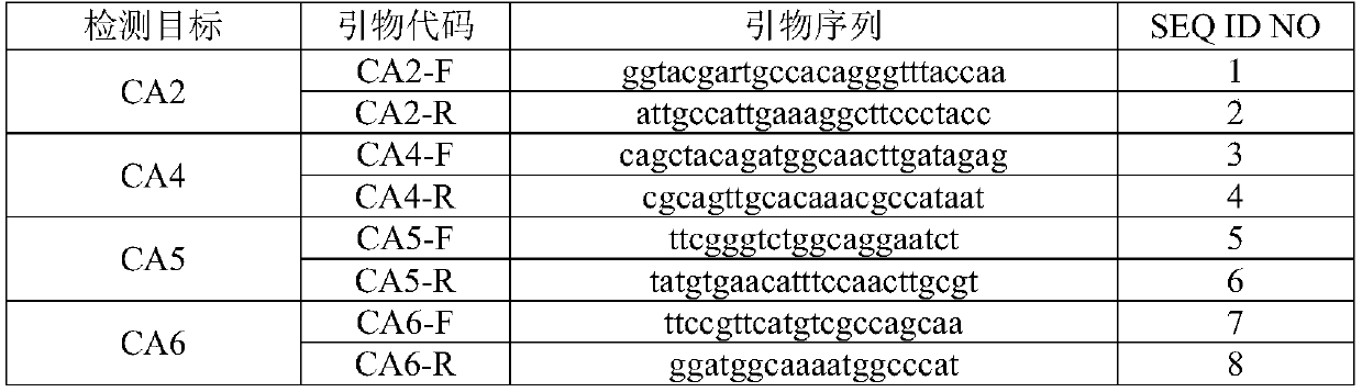 Nucleic acid reagent, kit and system for detecting enteroviruses