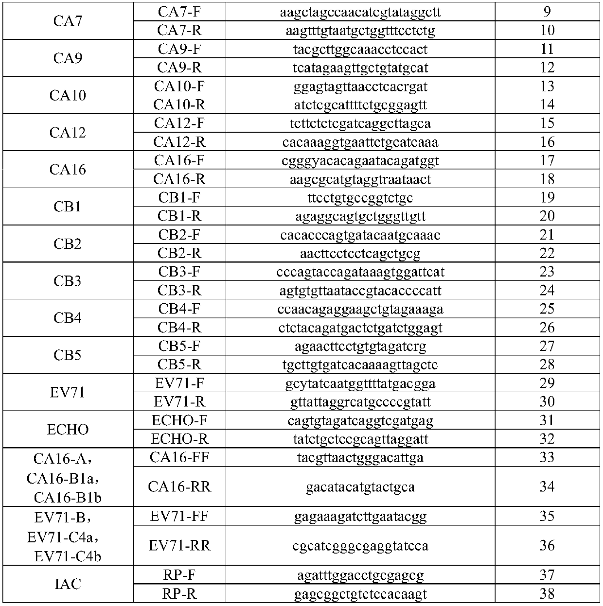 Nucleic acid reagent, kit and system for detecting enteroviruses