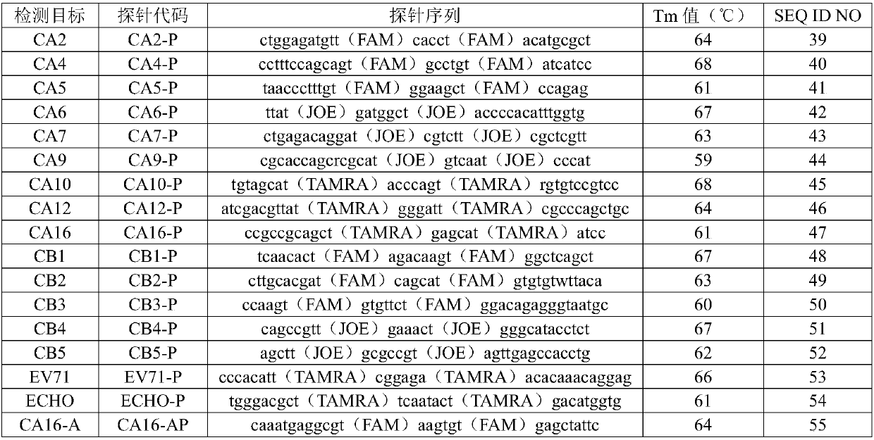 Nucleic acid reagent, kit and system for detecting enteroviruses