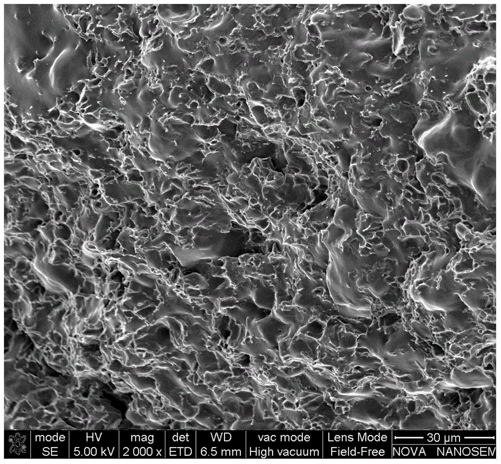 Dynamically vulcanized polylactic acid plastic/rubber thermoplastic elastomer and preparation method thereof