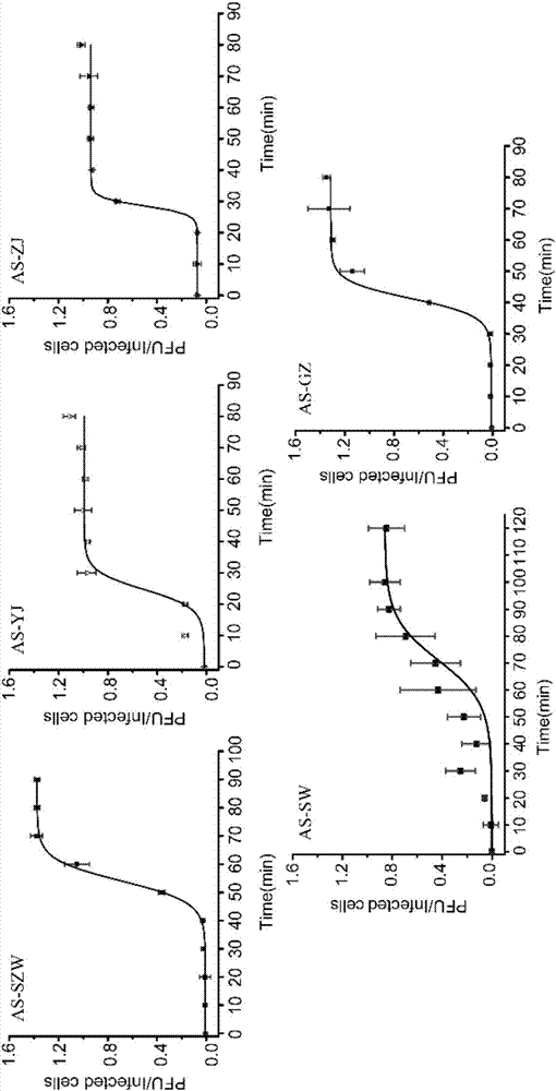 Aeromonas salmonicida bacteriophage, sterilization composition with same and application of same