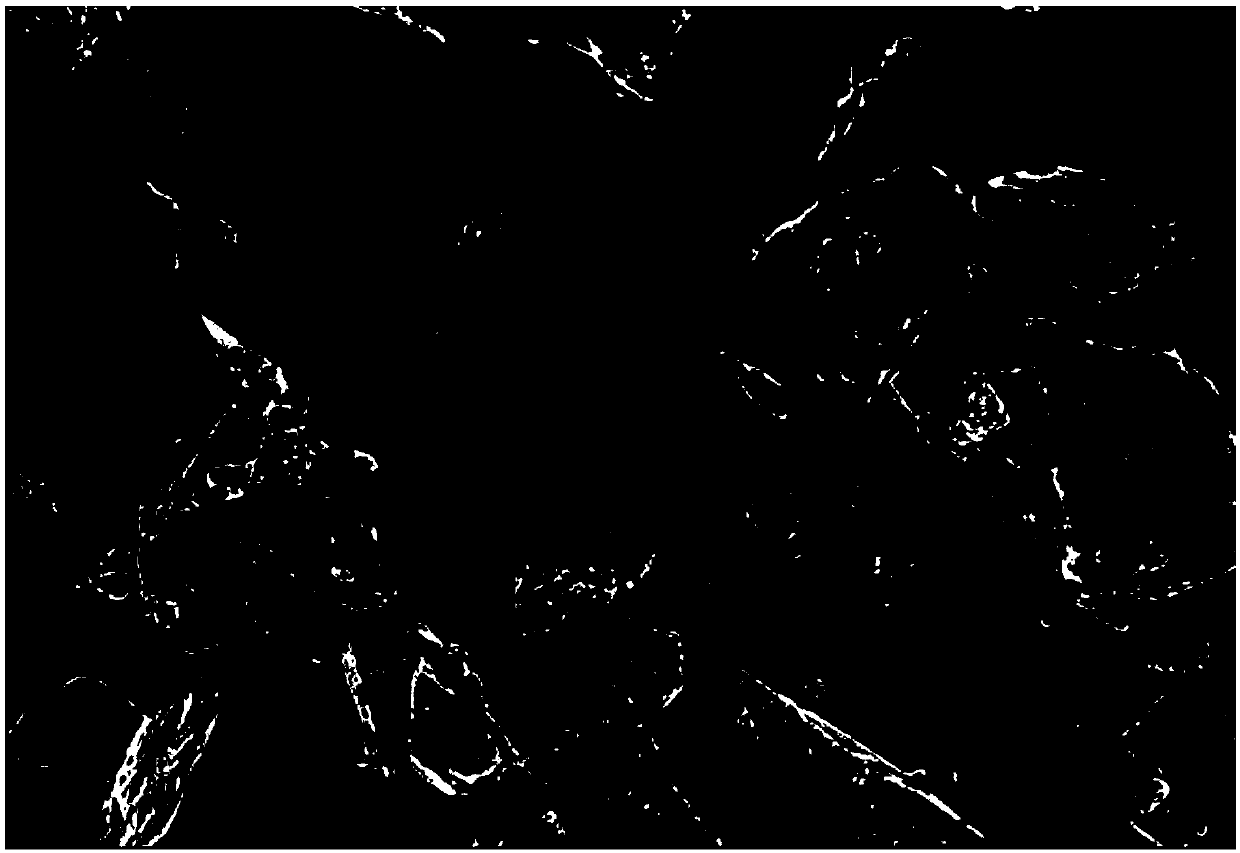 Silicon oxide composite negative electrode material for lithium ion battery and preparation method of silicon oxide composite negative electrode material