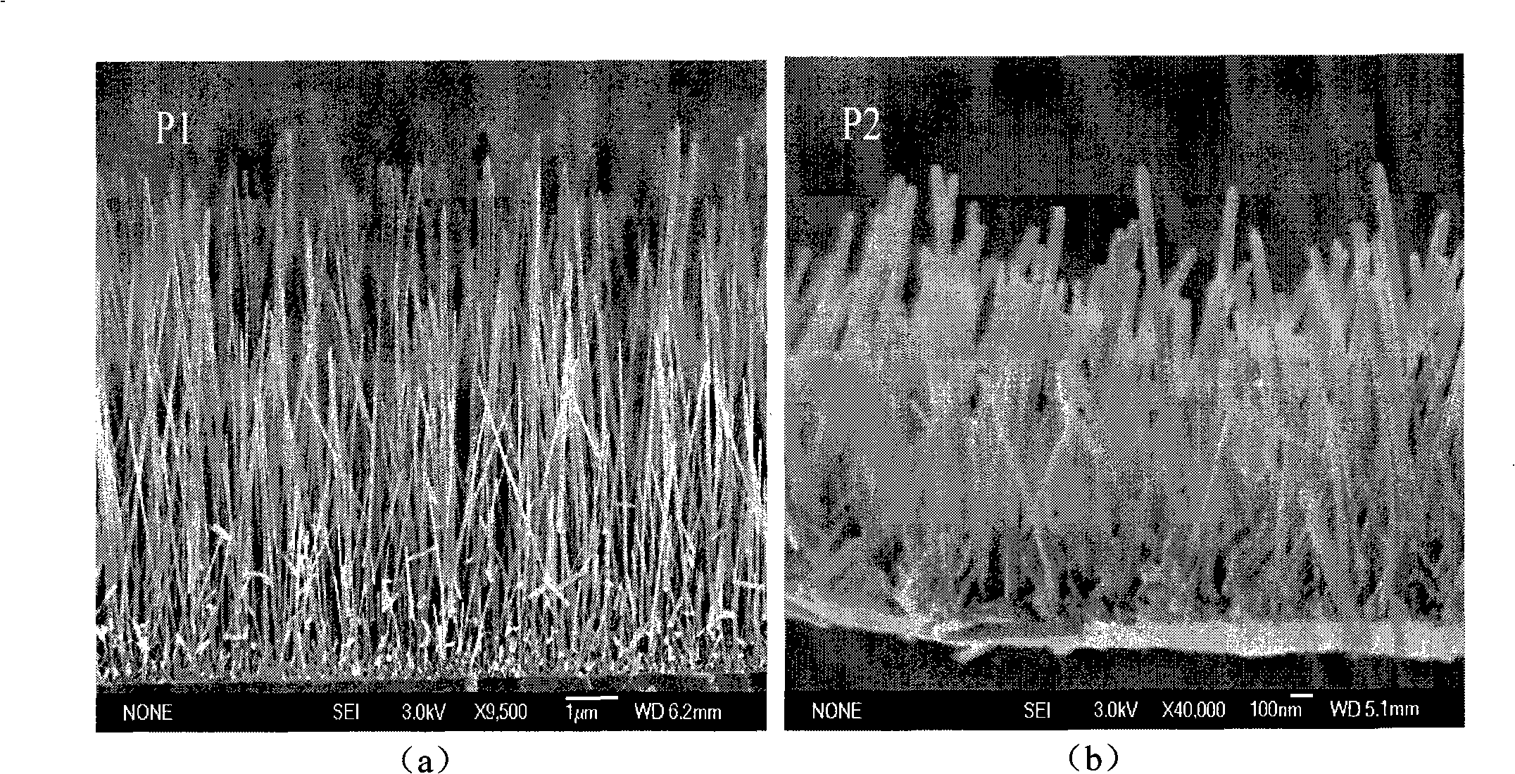 Method for controlling orientation and profile characteristic of zinc oxide nano-stick/nano-tube array