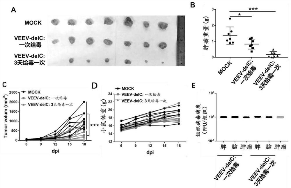 Oncolytic virus based on equine encephalitis virus and application thereof