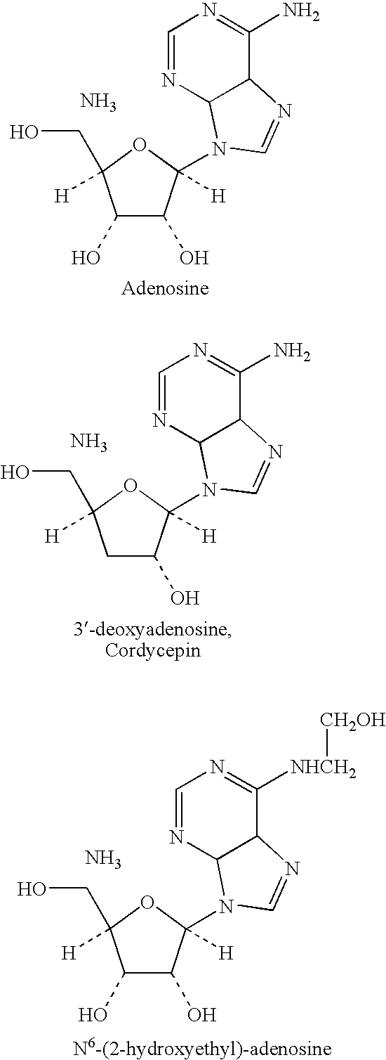 Method for growing Cordyceps sinensis on a substrate and novel method for hybridizing different strains of Cordyceps sinensis