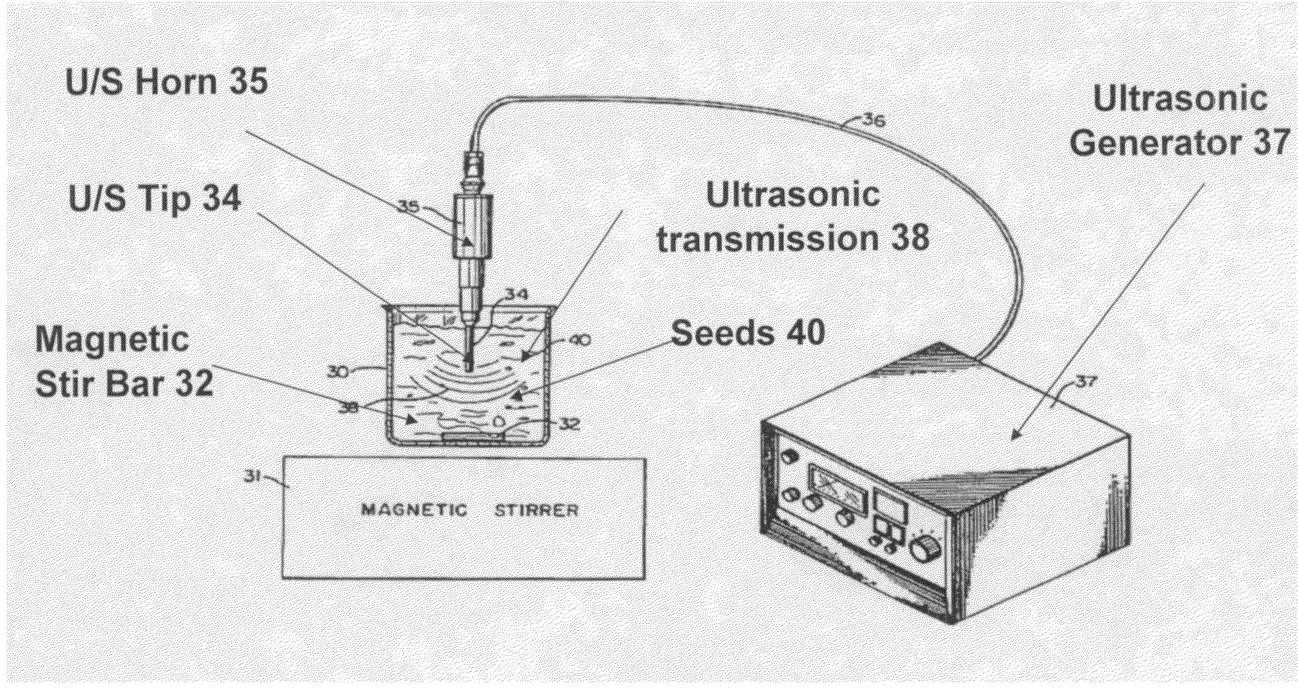 Ultrasonically enhanced seed germination system