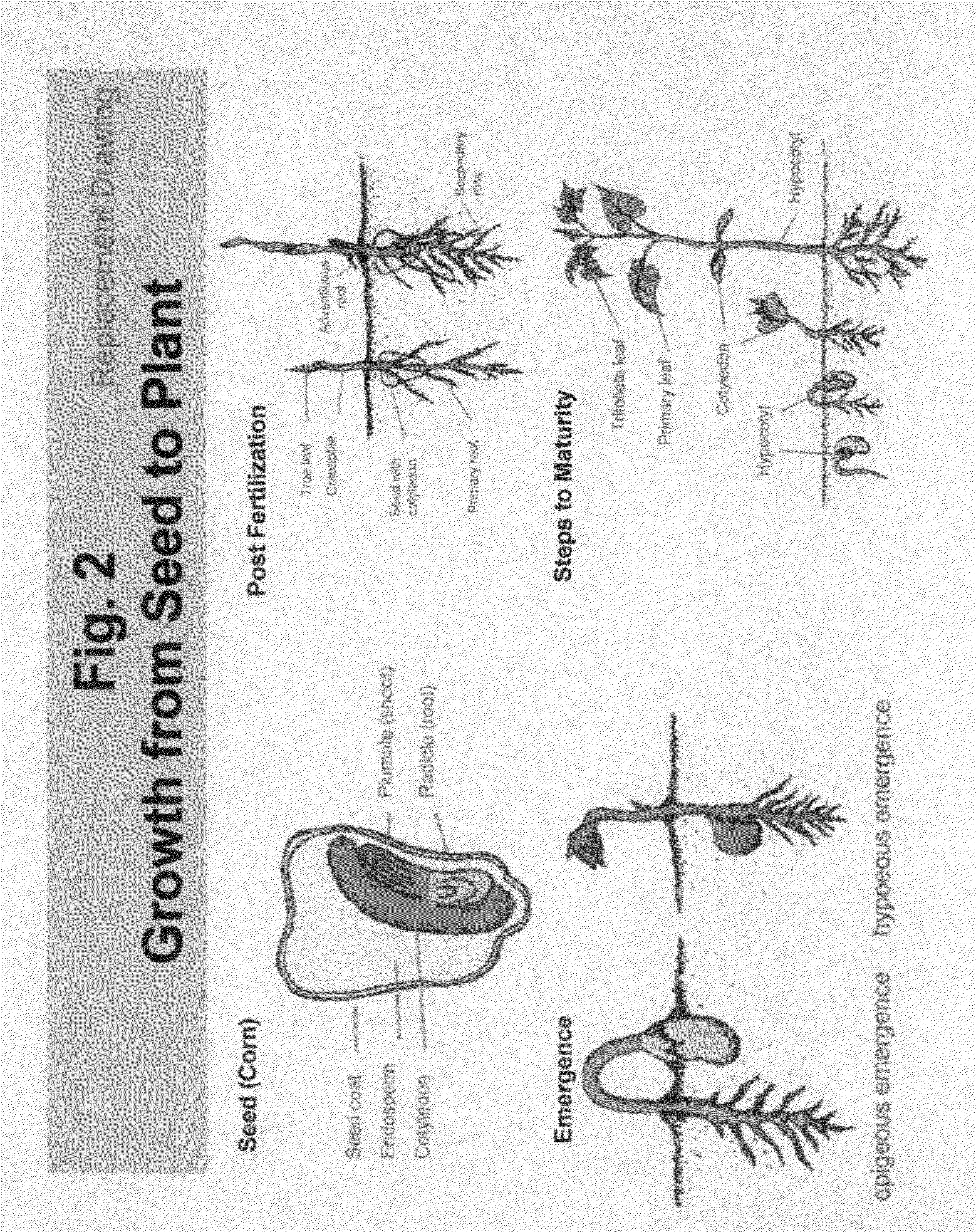 Ultrasonically enhanced seed germination system