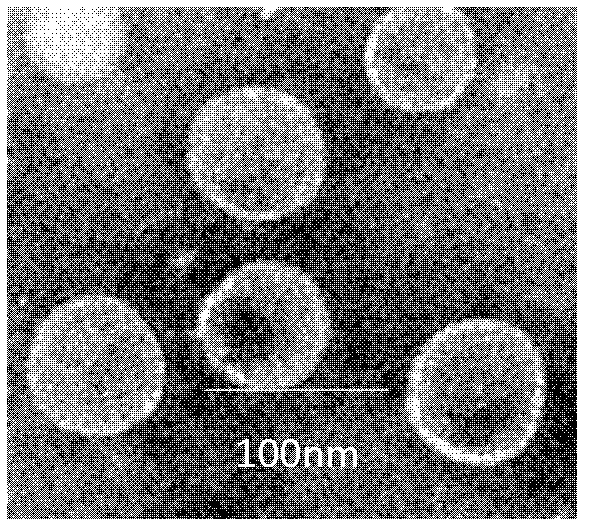 Anti-foot-and-mouth disease type O virus-like particle vaccine and preparation method thereof