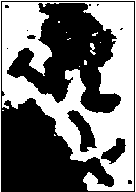 Flaking method of petunia chromosome