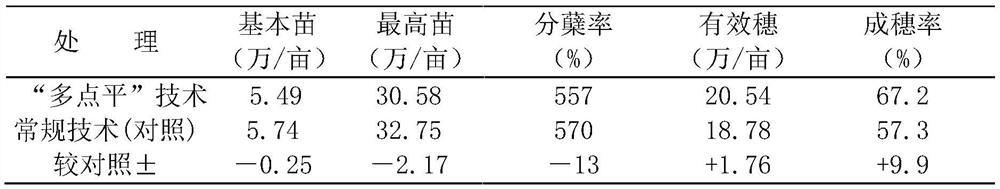 A multi-point balanced high-yield water and fertilizer management method for rice