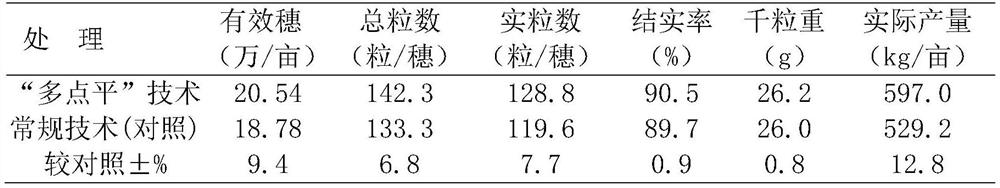 A multi-point balanced high-yield water and fertilizer management method for rice