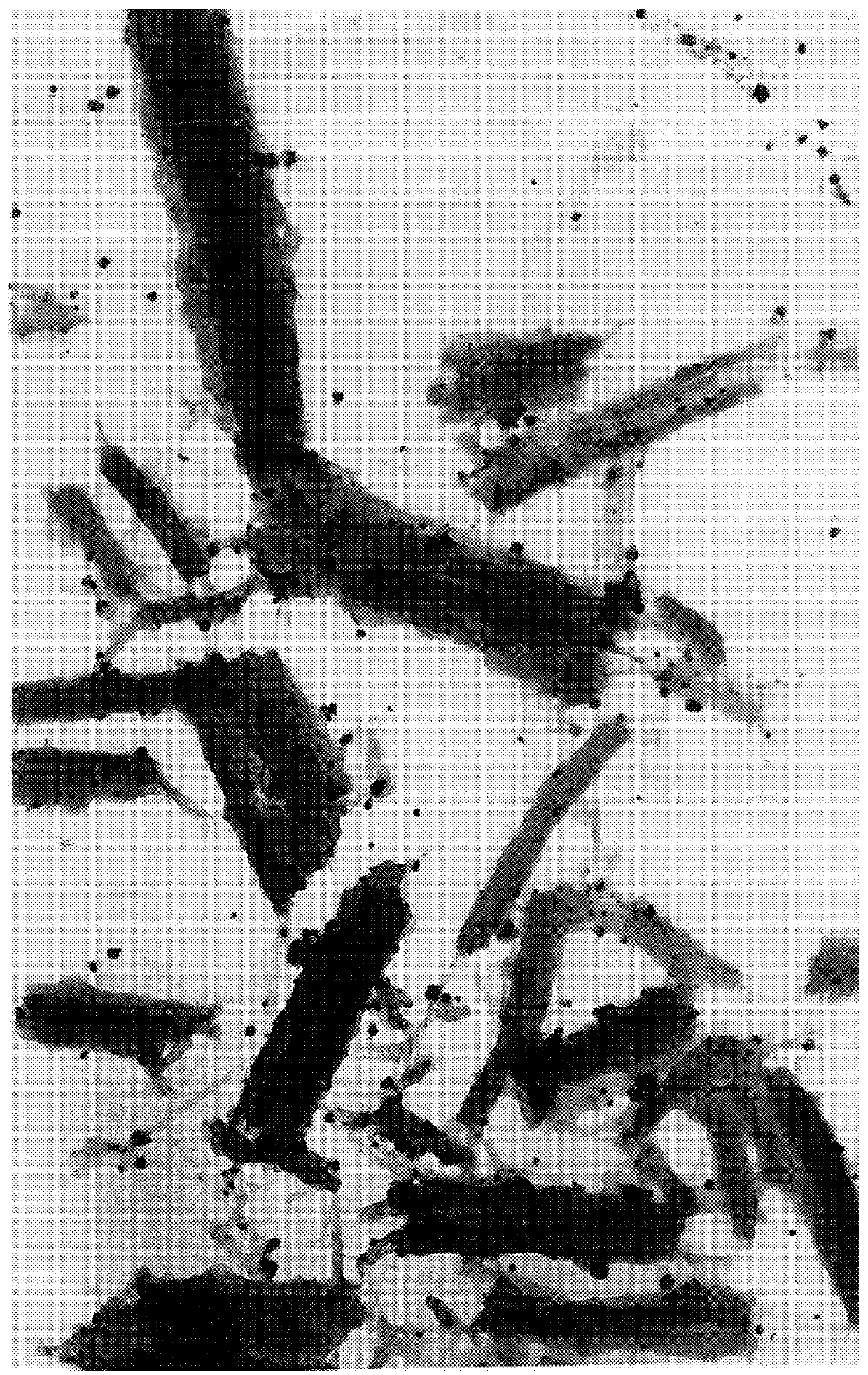 Photothermographic recording material coated from an aqueous medium