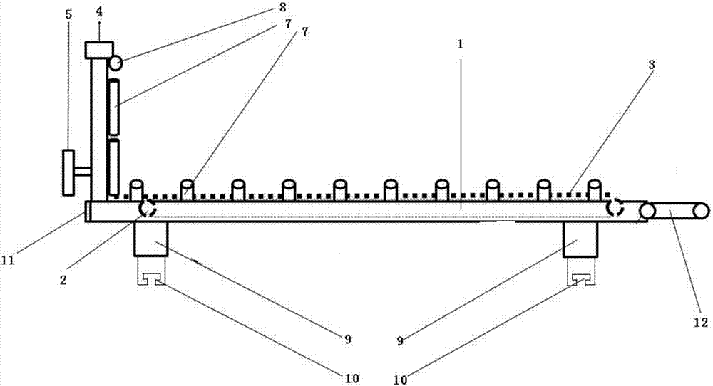 Cargo truck loading device