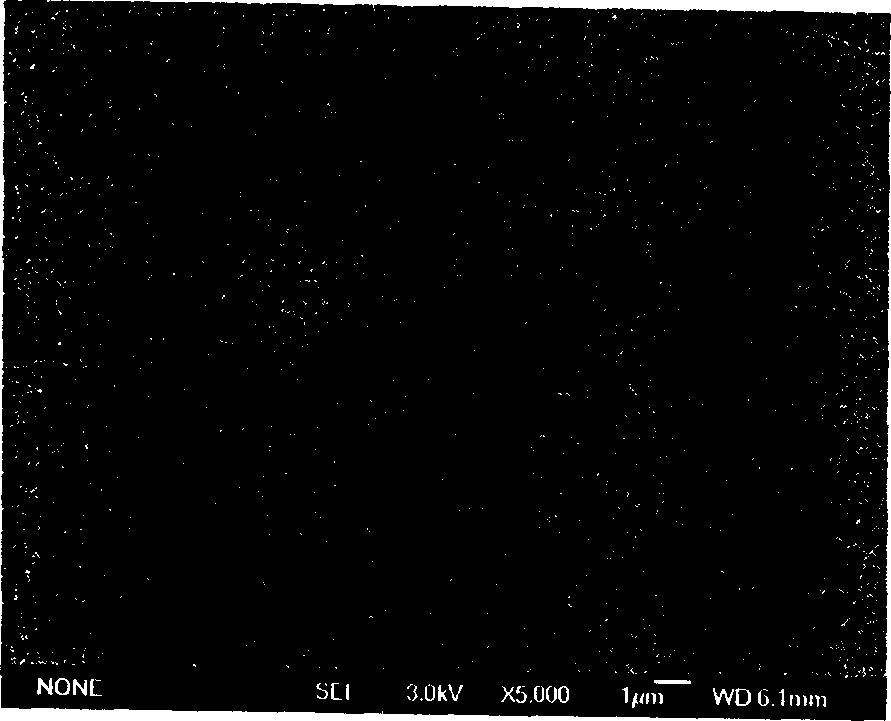 Conductive type polyaniline composite film, prepn. method and use thereof