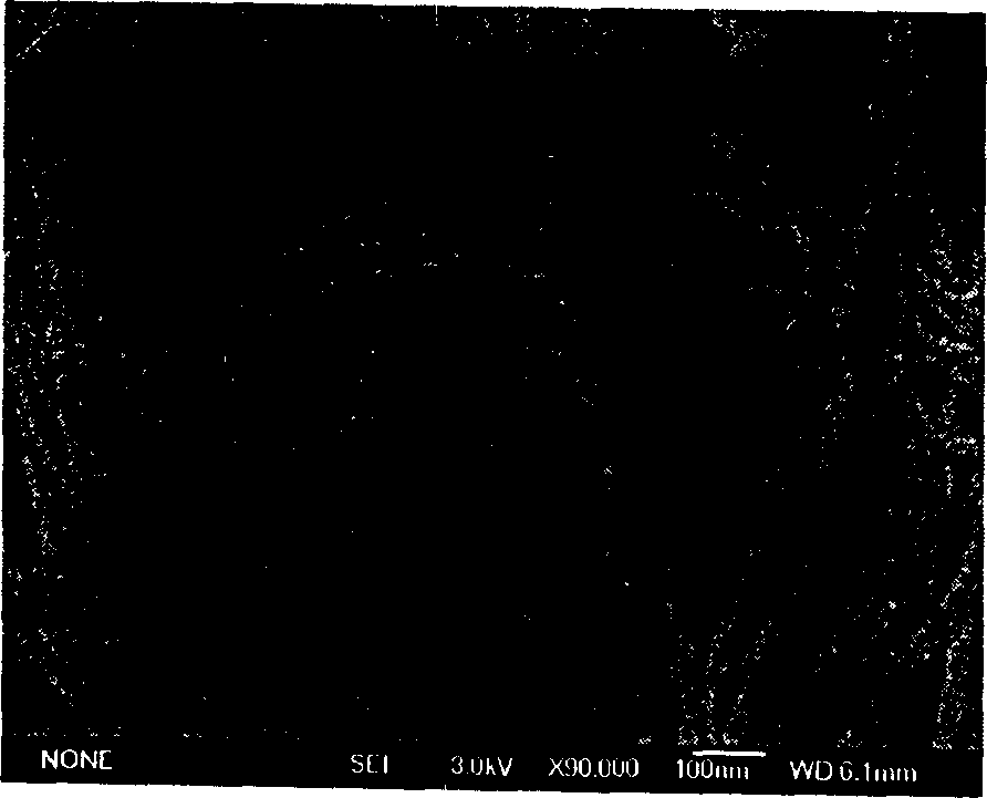 Conductive type polyaniline composite film, prepn. method and use thereof