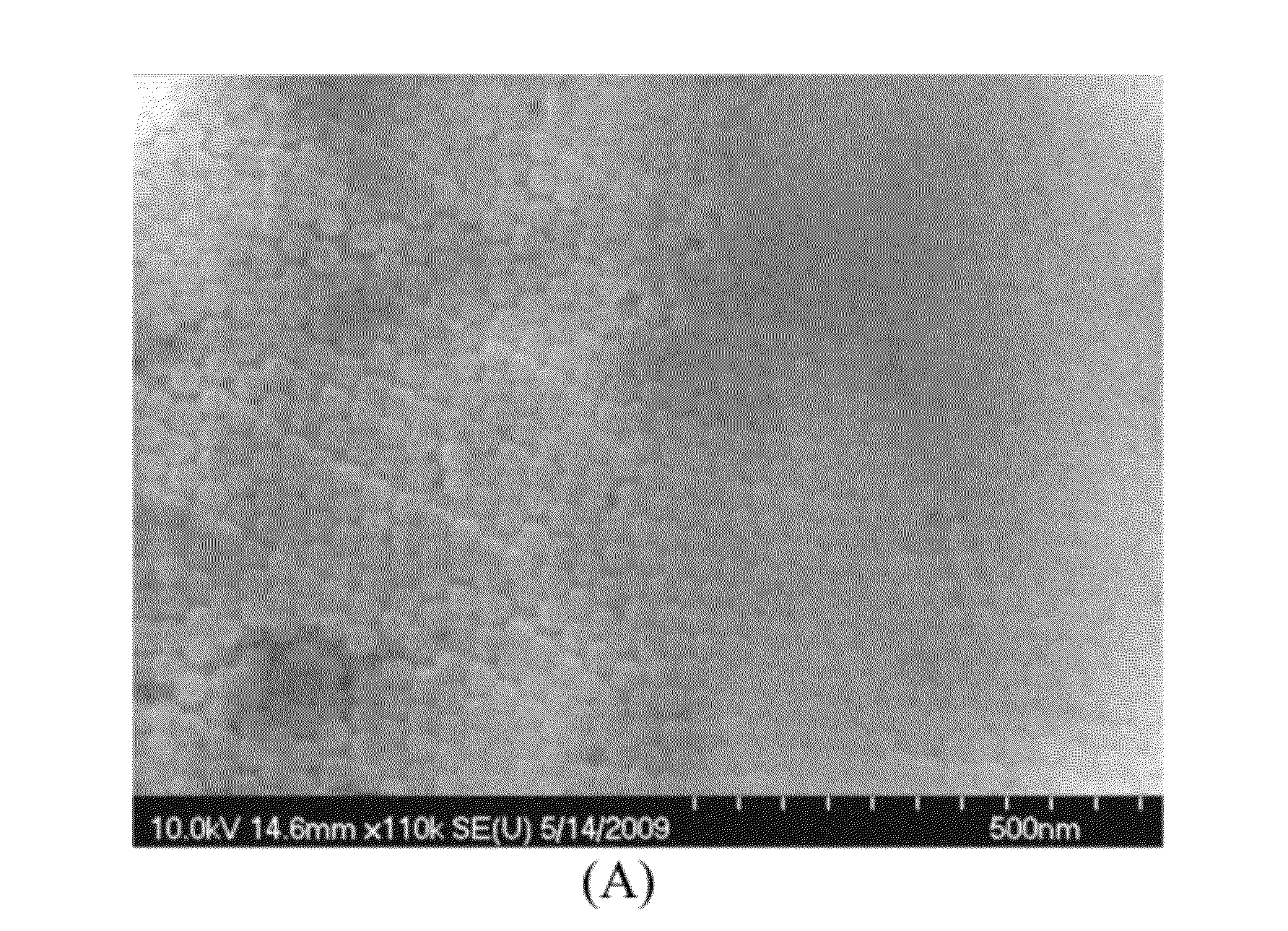 Volume-labeled nanoparticles and methods of preparation