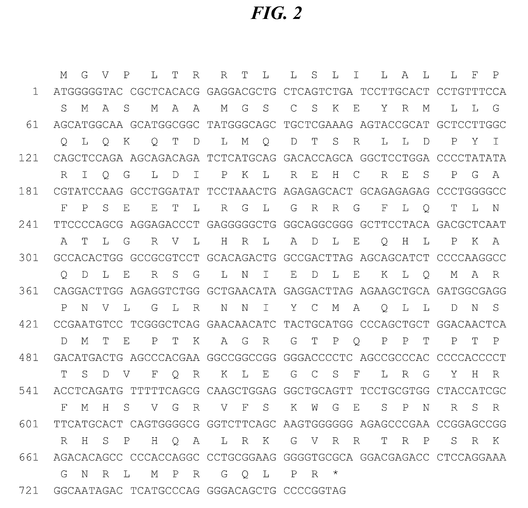 Monkey homolog of human oncostatin m