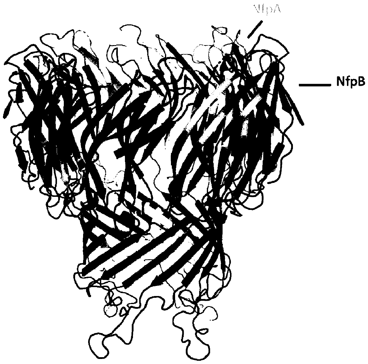 Mutated NfpAB nanopore, test system, manufacturing method and application