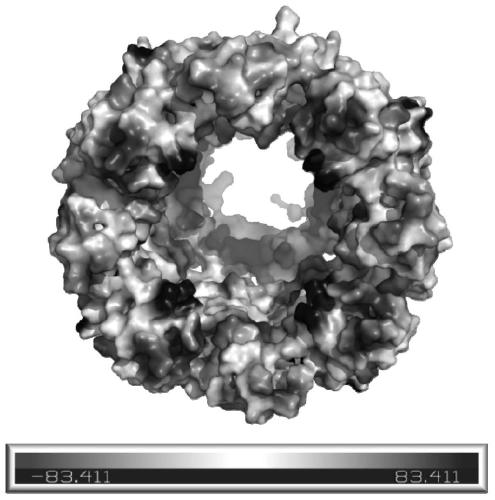 Mutated NfpAB nanopore, test system, manufacturing method and application